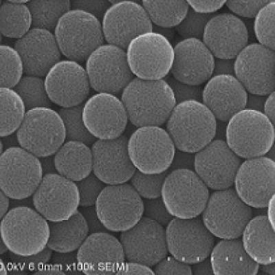 Soft-templating,Porous Carbon